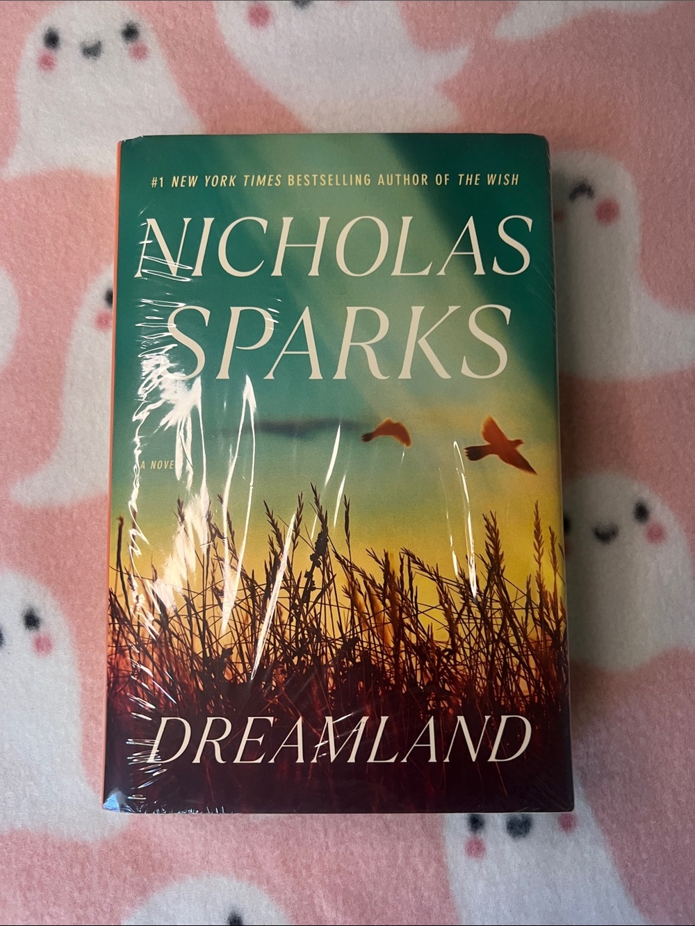 Nicholas Sparks Dreamland Hardcover Book
